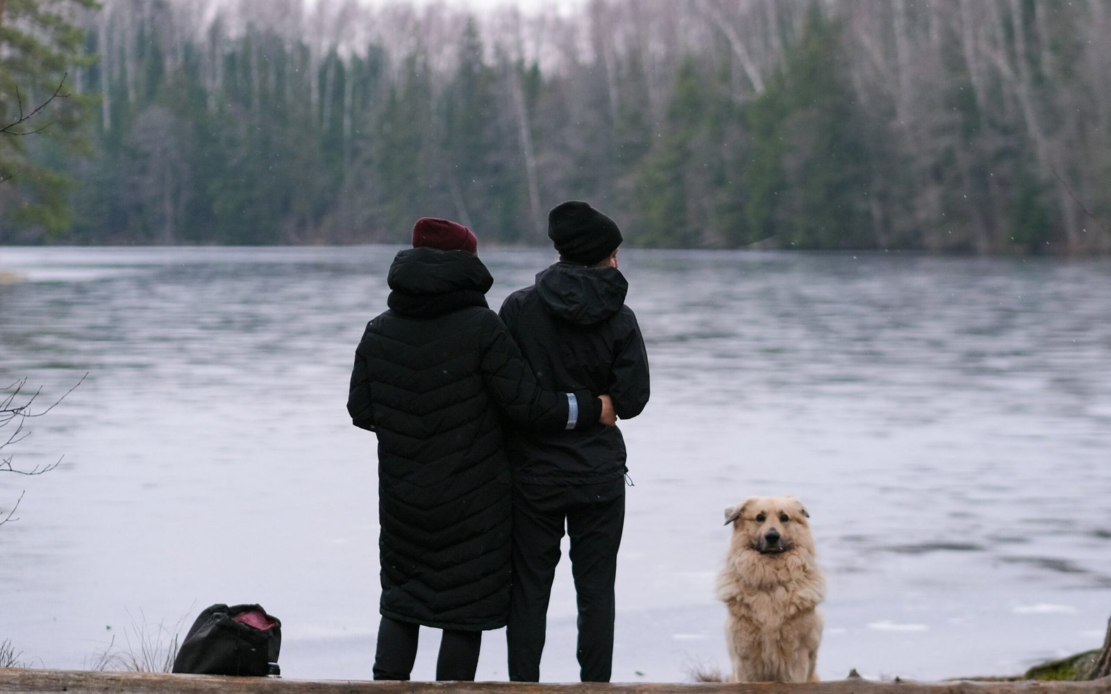 two people and a dog looking out over a lake